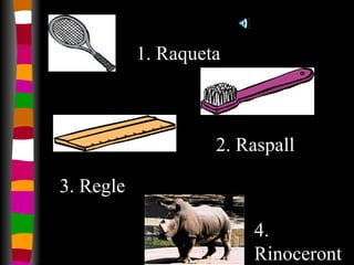 1. Raqueta 2. Raspall 3. Regle 4. Rinoceront 
