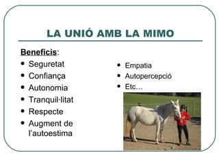 LA UNIÓ AMB LA MIMO
Beneficis:
 Seguretat           Empatia
 Confiança           Autopercepció
 Autonomia           Etc…
 Tranquil·litat

 Respecte

 Augment de
  l’autoestima
 