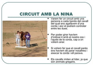 CIRCUIT AMB LA NINA
            Varem fer un circuit amb una
             persona a cada banda del cavall
             del qual ens agafàvem d’una
             corda i així el podíem controlar
             entre les dues.

            Per poder girar havíem
             d’indicar-li amb el nostre cos i
             l’ajuda de la corda, cap a on
             voliem anar.

            Si volíem fer que el cavall parés
             ens havíem de parar nosaltres i
             aixecar la corda i ell parava.

            Els cavalls imiten al líder, ja que
             són animals gregaris.
 