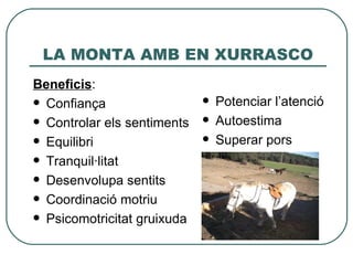 LA MONTA AMB EN XURRASCO
Beneficis:
 Confiança                     Potenciar l’atenció
 Controlar els sentiments      Autoestima
 Equilibri                     Superar pors
 Tranquil·litat

 Desenvolupa sentits

 Coordinació motriu

 Psicomotricitat gruixuda
 