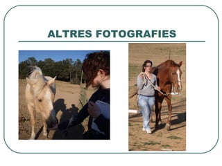 ALTRES FOTOGRAFIES
 