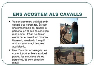 ENS ACOSTEM ALS CAVALLS
   Va ser la primera activitat amb
    cavalls que varem fer. És com
    una presentació del cavall i la
    persona, en el que es coneixen
    mútuament. T’has de deixar
    olorar per el cavall, no mirar-lo
    fixament, acostar-te tranquil
    amb un somriure, i després
    acariciar-lo.
   Has d’intentar aconseguir una
    comunicació amb el cavall, ell
    percep les emocions de les
    persones, és com el nostre
    mirall.
 