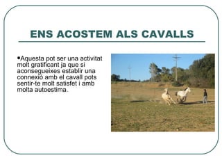 ENS ACOSTEM ALS CAVALLS

Aquesta   pot ser una activitat
molt gratificant ja que si
aconsegueixes establir una
connexió amb el cavall pots
sentir-te molt satisfet i amb
molta autoestima.
 