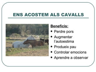 ENS ACOSTEM ALS CAVALLS

            Beneficis:
             Perdre pors

             Augmentar
              l’autoestima
             Produeix pau

             Controlar emocions

             Aprendre a observar
 