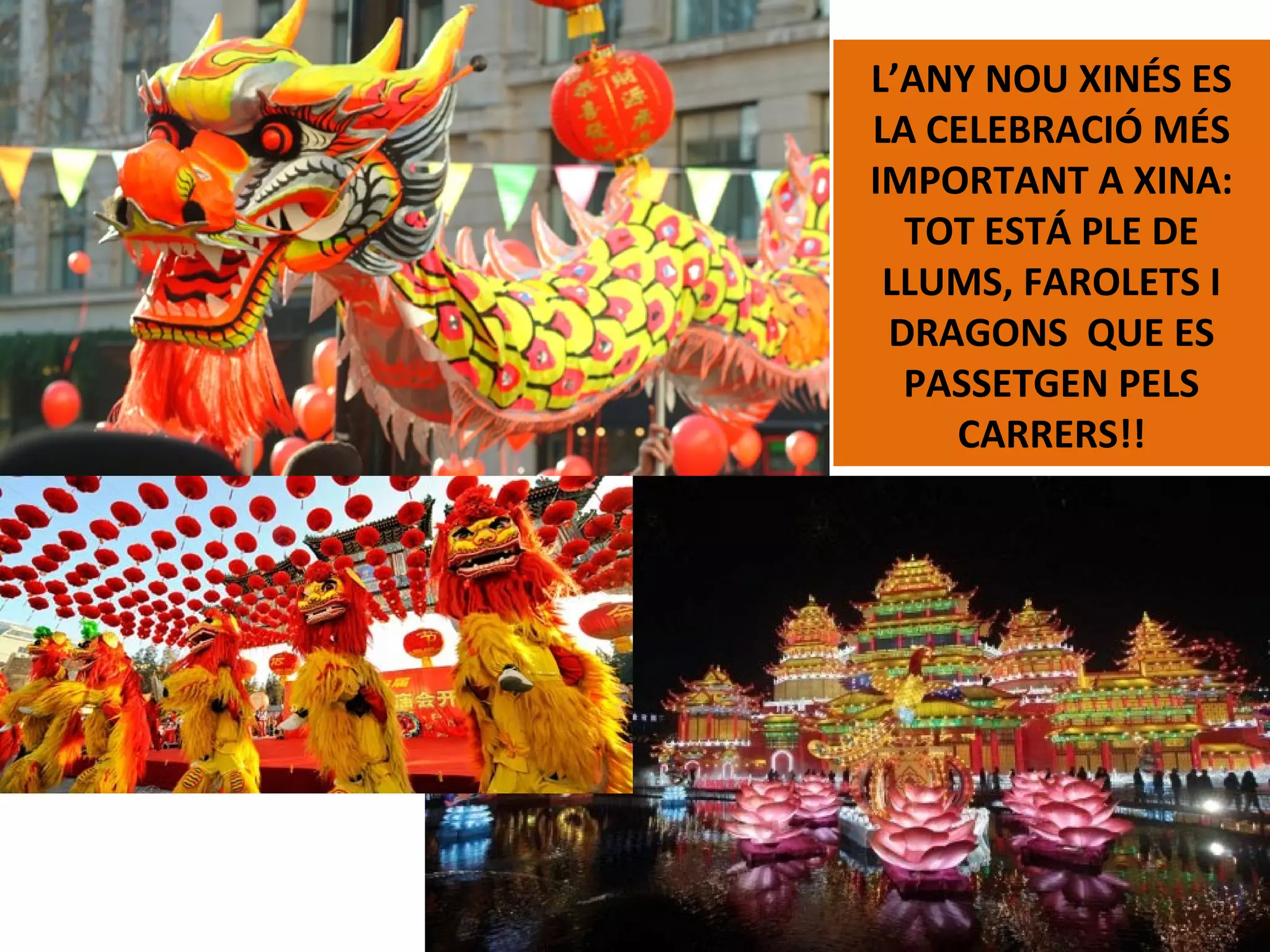 L’ANY NOU XINÉS ES
LA CELEBRACIÓ MÉS
IMPORTANT A XINA:
TOT ESTÁ PLE DE
LLUMS, FAROLETS I
DRAGONS QUE ES
PASSETGEN PELS
CARRERS!!
 