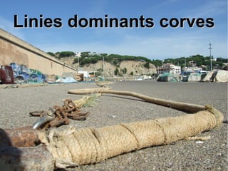 LLiinniieess ddoommiinnaannttss ccoorrvveess 
 