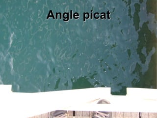 AAnnggllee ppiiccaatt 
 