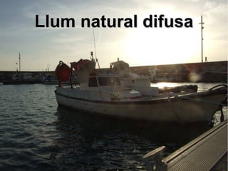 LLlluumm nnaattuurraall ddiiffuussaa 
 