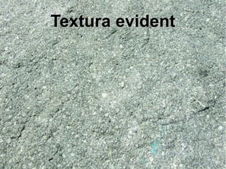 TTeexxttuurraa eevviiddeenntt 
 