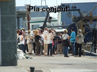PPllaa ccoonnjjuunntt 
 