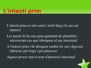    
L'intestí prim
L'intestí prim es tub estret i molt llarg (fa uns set 
metres)
Les parets hi ha una gran quantitat de glàndules 
microscopi­cas que fabriquen el suc intestinal.
A l'intestí prim s'hi aboquen també els sucs digestiu 
fabricats pel fetge i pel pàncrees
Aquest proces rep el nom d'absorció intestinal. 
 