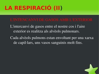    
LA RESPIRACIÓ (II)
L'INTENCANVI DE GASOS AMB L'EXTERIOR
L'intercanvi de gasos entre el nostre cos i l'aire 
exterior es realitza als alvèols pulmonars.
Cada alvèols pulmons estan envoltant per una xarxa 
de capil∙lars, uns vasos sanguinis molt fins. 
 