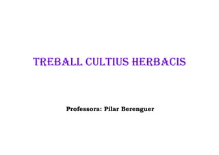 TREBALL CULTIUS HERBACIS


     Professora: Pilar Berenguer
 