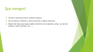Què mengen?
 No tots s’alimenten de la mateixa manera:
 Hi ha insectes herbívors, altres carnivors i alguns omnívors.
 Depèn del tipus que siguin poden alimentar-se de plantes, sang , suc de les
plantes, altres animals, etc......
 