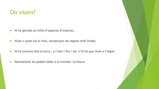 On viuen?
 Hi ha gairebé un milió d’espècies d’insectes.
 Viuen a quasi tot el món, exceptuant les regions molt fredes.
 Hi ha insectes dins la terra , a l’aire i fins i tot n’hi ha que viuen a l’aigüa.
 Normalment els podem tobar a la humitat i la foscor.
 