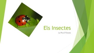 Els Insectes
La Pica D’Estats
 
