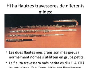 Hi ha flautres travesseres de diferents
                 mides:




• Les dues flautes més grans són més greus i
  normalment només s’utilitzen en grups petits.
• La flauta travessera més petita es diu FLAUTÍ i
 
