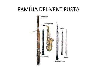 FAMÍLIA DEL VENT FUSTA
 