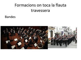 Formacions on toca la flauta
             travessera
Bandes
 