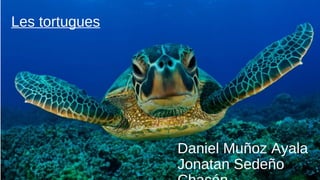 Les tortugues
Daniel Muñoz Ayala
Jonatan Sedeño
 