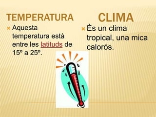 TEMPERATURACLIMAAquesta temperatura està entre les latituds de 15º a 25º.És un clima tropical, una mica calorós. 
