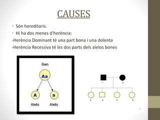 CAUSES
• Són hereditaris.
• Hi ha dos menes d'herència:
-Herència Dominant té una part bona i una dolenta
-Herència Recessiva té les dos parts dels alelos bones
 