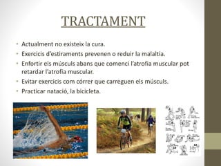TRACTAMENT
• Actualment no existeix la cura.
• Exercicis d’estiraments prevenen o reduir la malaltia.
• Enfortir els músculs abans que comenci l’atrofia muscular pot
retardar l’atrofia muscular.
• Evitar exercicis com córrer que carreguen els músculs.
• Practicar natació, la bicicleta.
 