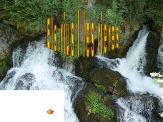 Els  rius  I  les   rieres   