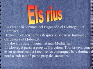 Els rius de la comarca del Bages són el Llobregat i el Cardener. Tenen un origen comú  i després se separen  formant el Cardener i el Llobregat. Els dos rius desemboquen al mar Mediterrani. El  Llobregat   passa  a prop  de  Barcelona. Tota la seva   conca   és  en  territori   català  i  recorre   les   comarques   barcelonines   de   nord  a sud; també passa prop de l'aeroport. Els rius  