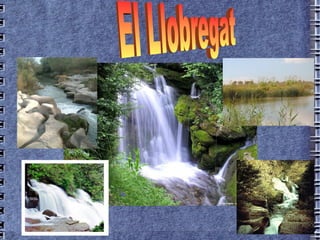 El Llobregat 