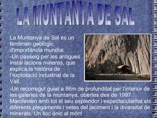 La Muntanya de Sal és un  fenòmen  geològic d'importància mundia l. -Un recorregut guiat a 86m de profunditat per l’interior de les galeries de la muntanya, obertes des de 1997. Manifesten amb tot el seu esplendor i espectacularitat els diferents plegaments i vetes del jaciment i la diversitat de minerals. Un lloc únic al món! -Un passeig per les antigues instal·lacions mineres, que explica la història de l’explotació industrial de la Vall. LA MUNTANYA DE SAL 