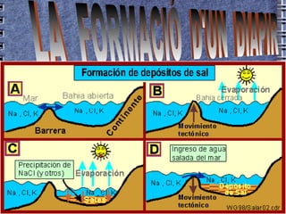 LA  FORMACIÓ  D'UN  DIAPIR 
