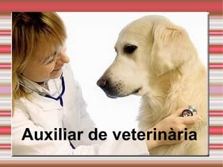 Introducing a New Product




Auxiliar de veterinària
 
