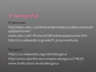 Pi pinyoner:
 http//bloc.xtec.cat/itinerarideviladecavallsacansanah
ujapipinyoner/
 www.xtec.cat/¬ftumo/d108/arbres/pipinyoner.htm
 http//ca.wikipedia.org/wiki/Pi_pinyoner#usos
Eleagnus:
 http//.ca.wikipedia.org/wiki/eleagnus
 http//www.plantfor.es/compra.eleagnus,2190,ES
 www.horticultura.tw/el-eleagnus
 