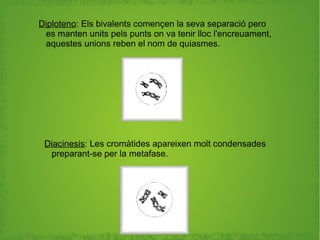 MITOSI I MEIOSI | ODP