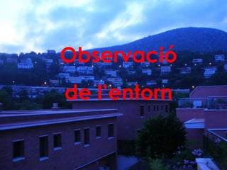 Observació  de l’entorn 