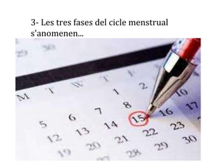 3- Les tres fases del cicle menstrual
s'anomenen...
 