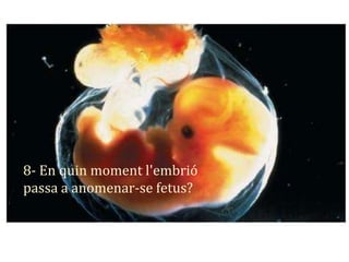 8- En quin moment l'embrió
passa a anomenar-se fetus?
 