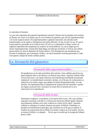 REPRODUCCIÓ HUMANA
La reproducció humana:
La cosa més important dels aparells reproductors masculí i femení són les gònades (els testicles
en l'home; els ovaris en la dona), que és on es formen els gàmetes, que són els espermatozoides
i els òvuls respectivament. Els espermatozoides o gàmetes masculins són cèl.lules molt
transformades, en les quals es distingeixen tres parts diferents: el cap, el coll i la cua. El cap és
la part anterior, gruixuda, on es troba el nucli. El coll ve a continuació; és llarg i estret i té
orgànuls importants del citoplasma (el centriol, les mitocòndries). La cua és òrgan que fa
moure l'espermatozoide. Consta d'un llarg flagel, envoltat per una beina. L'òvul és una cèllula ·
grossa (d'uns 0,2 mm de diàmetre) de forma esfèrica. S'hi distingeixen una membrana que
envolta el citoplasma, que s'anomena vitellus, i un nucli anomenat vesícula germinativa. Cada·
òvul apareix rodejat de moltes cèllules petites.·
La formació del gàmetes:
Formació dels espermatozoides.-
Els produeixen en els tubs seminífers dels testicles. Unes cèllules que hi ha a la·
paret d'aquests tubs es divideixen i en formen unes altres. Aquestes cèllules filles·
creixen una mica i, tot seguit sofreixen una transformació profunda anomenada
maduració. La transformació consisteix: primer, en el fet que els cromosomes es
redueixen a la meitat; segon, que adoptes la forma d'espermatozoides. Un cop
formats, els espermatozoides es desprenen de la paret del tub seminífer i passen
als òrgans accessoris (les vesícules) on resten fins el moment de la seva
intervenció en la reproducció.
Formació dels òvuls.-
S'anomena ovogènesi i es produeix en les parets dels ovaris. Allí, unes cèllules ·
especials comencen a dividir-se i formen una massa de cèllules iguals. Després,·
una d'aquestes cèllules creix molt, nodrint-se a càrrec de les altres. Aquestes·
cèllules es colloquen al voltant, formant una paret: el follicle. Finalment, es· · ·
produeix la transformació principal, que consisteix en el fet que es redueix el
nombre de cromosomes de la cèllula a la meitat i esdevé un òvul madur. Llavors·
es trenca el follicle i es desprèn· l'òvul, que és recollit per la trompa de Fallopi i·
passa a l'úter.
Júlia Cabrera Guiteras 2 19/03/2014
 