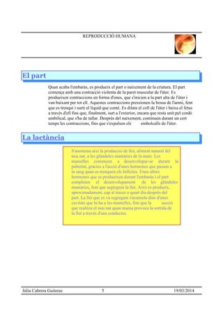 REPRODUCCIÓ HUMANA
El part
Quan acaba l'embaràs, es produeix el part o naixement de la criatura. El part
comença amb una contracció violenta de la paret muscular de l'úter. Es
produeixen contraccions en forma d'ones, que s'inicien a la part alta de l'úter i
van baixant per tot ell. Aquestes contraccions pressionen la bossa de l'amni, fent
que es trenqui i surti el líquid que conté. Es dilata el coll de l'úter i baixa el fetus
a través d'ell fins que, finalment, surt a l'exterior, encara que resta unit pel cordó
umbilical, que s'ha de tallar. Després del naixement, continuen durant un cert
temps les contraccions, fins que s'expulsen els embolcalls de l'úter.
La lactància
S'anomena així la producció de llet, aliment natural del
nou nat, a les glàndules mamàries de la mare. Les
mamelles comencen a desenvolupar-se durant la
pubertat, gràcies a l'acció d'unes hormones que passen a
la sang quan es trenquen els follicles. Unes altres·
hormones que es produeixen durant l'embaràs i el part
completen el desenvolupament de les glàndules
mamàries, fent que segreguin la llet. Això es produeix,
aproximadament, cap al tercer o quart dia després del
part. La llet que es va segregant s'acumula dins d'unes
cavitats que hi ha a les mamelles, fins que la succió
que realitza el nou nat quan mama provoca la sortida de
la llet a través d'uns conductes.
Júlia Cabrera Guiteras 5 19/03/2014
 