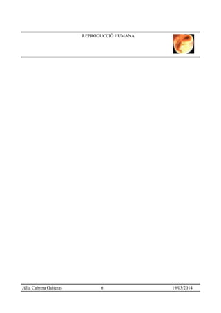 REPRODUCCIÓ HUMANA
Júlia Cabrera Guiteras 6 19/03/2014
 