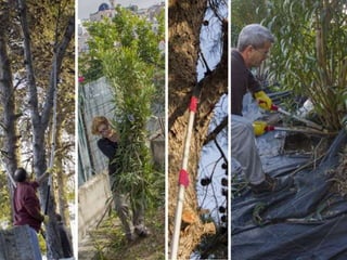 Treballs al CPC Pinet