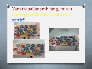 Vam treballar amb fang, mireu
quins girasols més bonics van
sortir!!
 