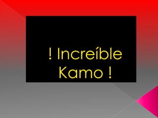 ! Increíble Kamo ! 