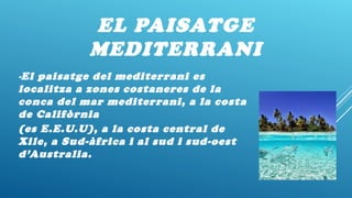 EL PAISATGE
MEDITERRANI
-El paisatge del mediterrani es
localitza a zones costaneres de la
conca del mar mediterrani, a la costa
de Califòrnia
(es E.E.U.U), a la costa central de
Xile, a Sud-àfrica i al sud i sud-oest
d’Australia.
 