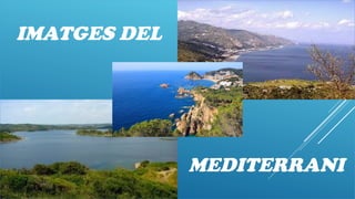 IMATGES DEL
MEDITERRANI
 