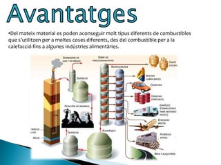 Quan moren, el plàncton s'acumula juntament amb una gran quantitat de matèria orgànica.
