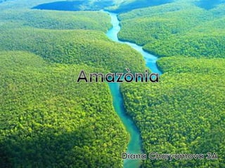 Amazònia Diana Churyumova 3A 