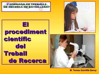 El procediment científic  del  Treball  de Recerca M. Teresa Quintillà Zanuy 