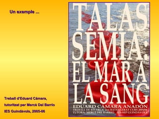 Un exemple ... Treball d’Eduard Cámara,  tutoritzat per Mercè Del Barrio  IES Guindàvols, 2005-06 